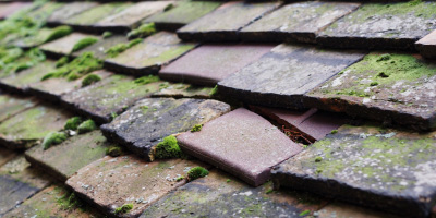 Braintree roof repair costs
